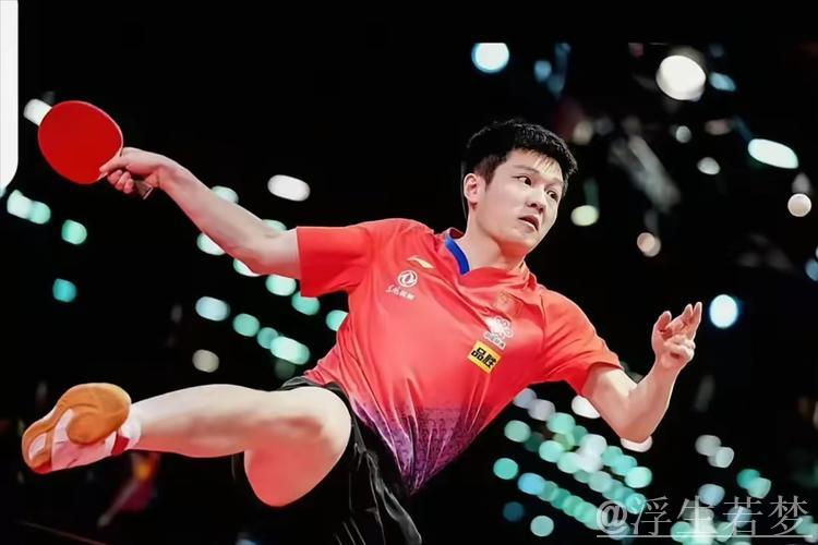 樊振东将竞技体育的热血展现的淋漓尽致! 樊振东将竞技体育的热血展现的淋漓尽致!